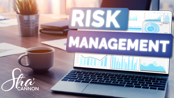 Risk Management For Solopreneurs